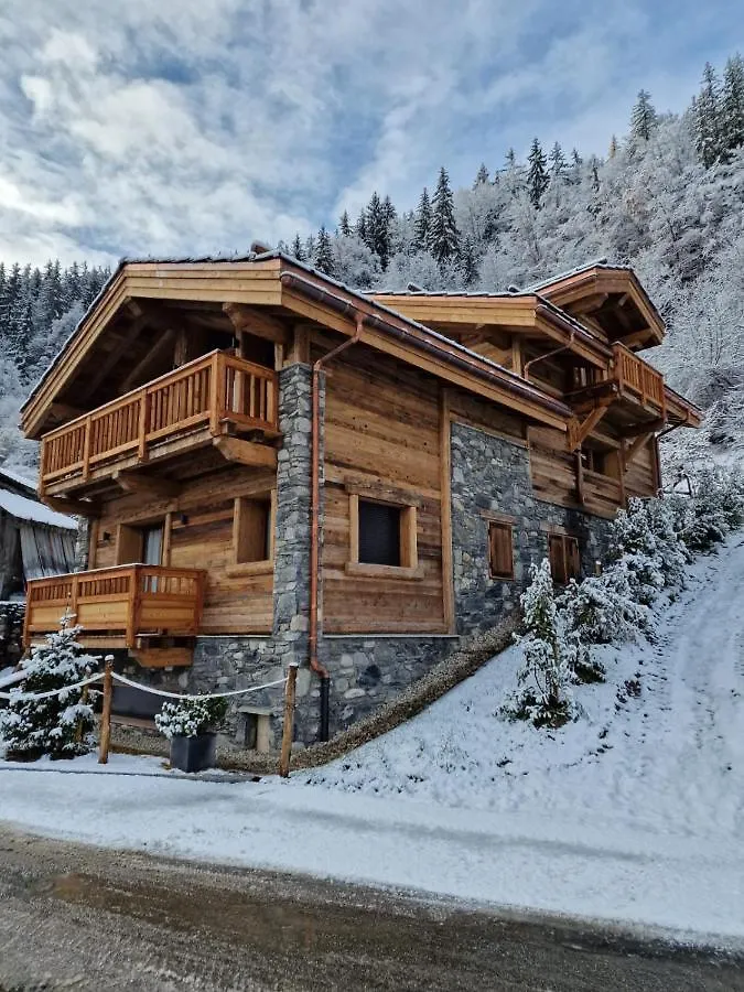 Chalet Les Cochettes Courchevel France