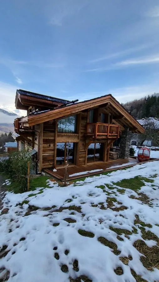 Chalet Les Cochettes Courchevel